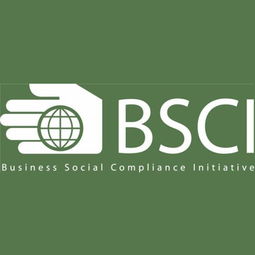 深圳九域企業(yè)管理 一站式EICC驗(yàn)廠咨詢輔導(dǎo)，助力企業(yè)合規(guī)與卓越